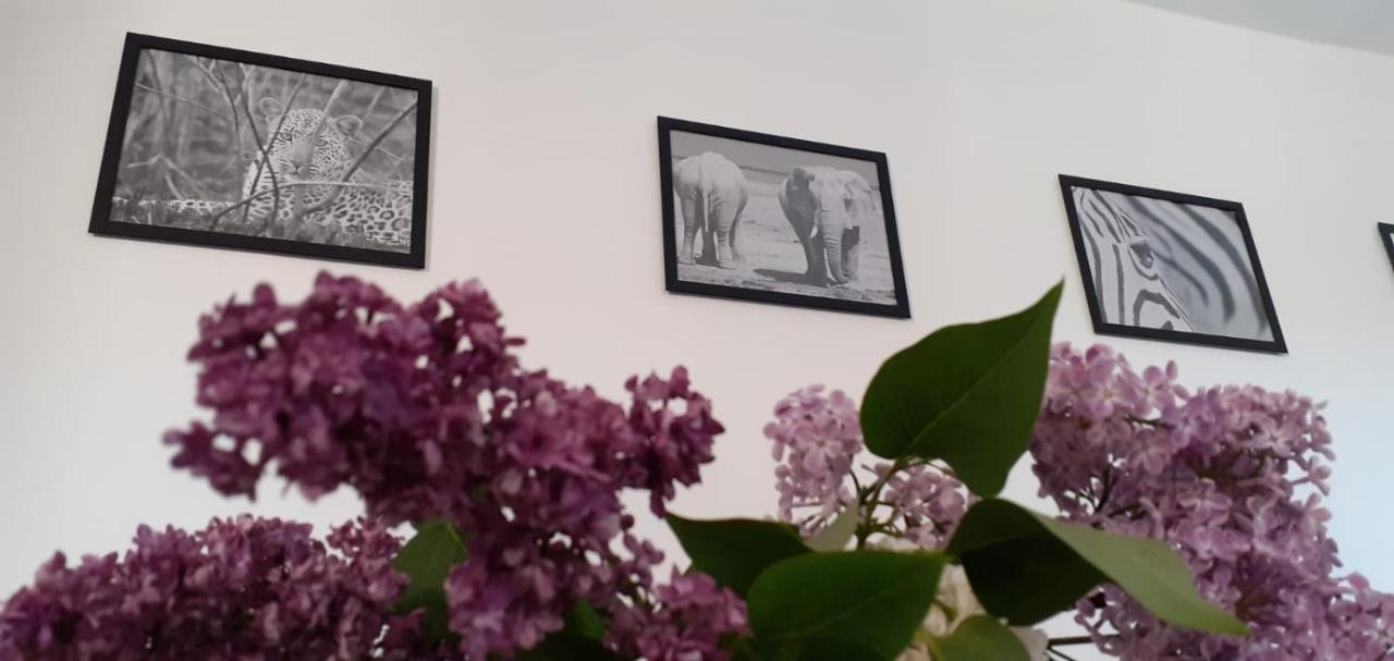 Ferienwohnung Wittenberge Zewnętrze zdjęcie